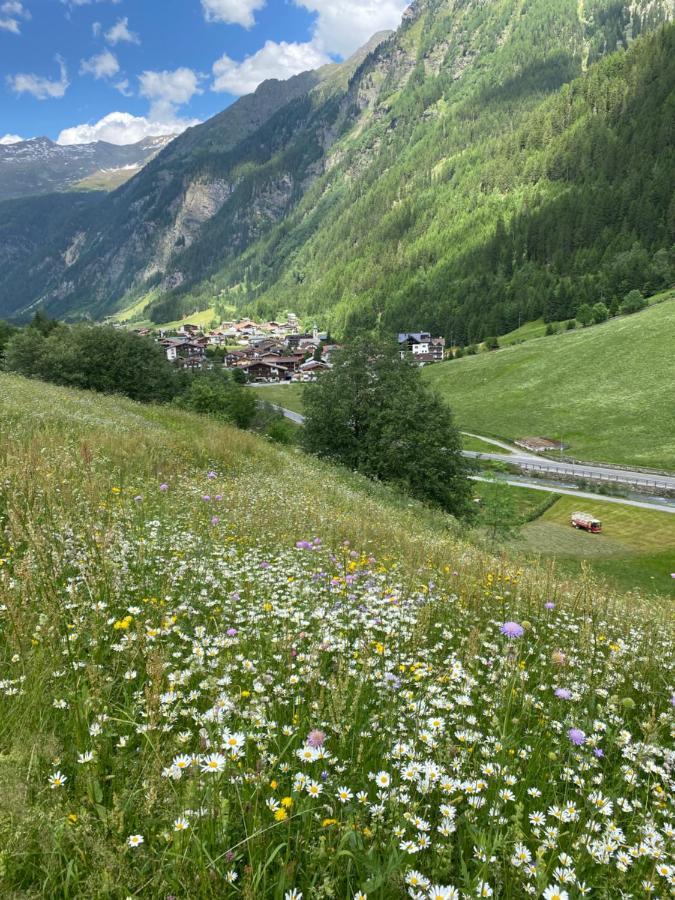 Apart Wiesenplatzl Kaunertal Exterior photo