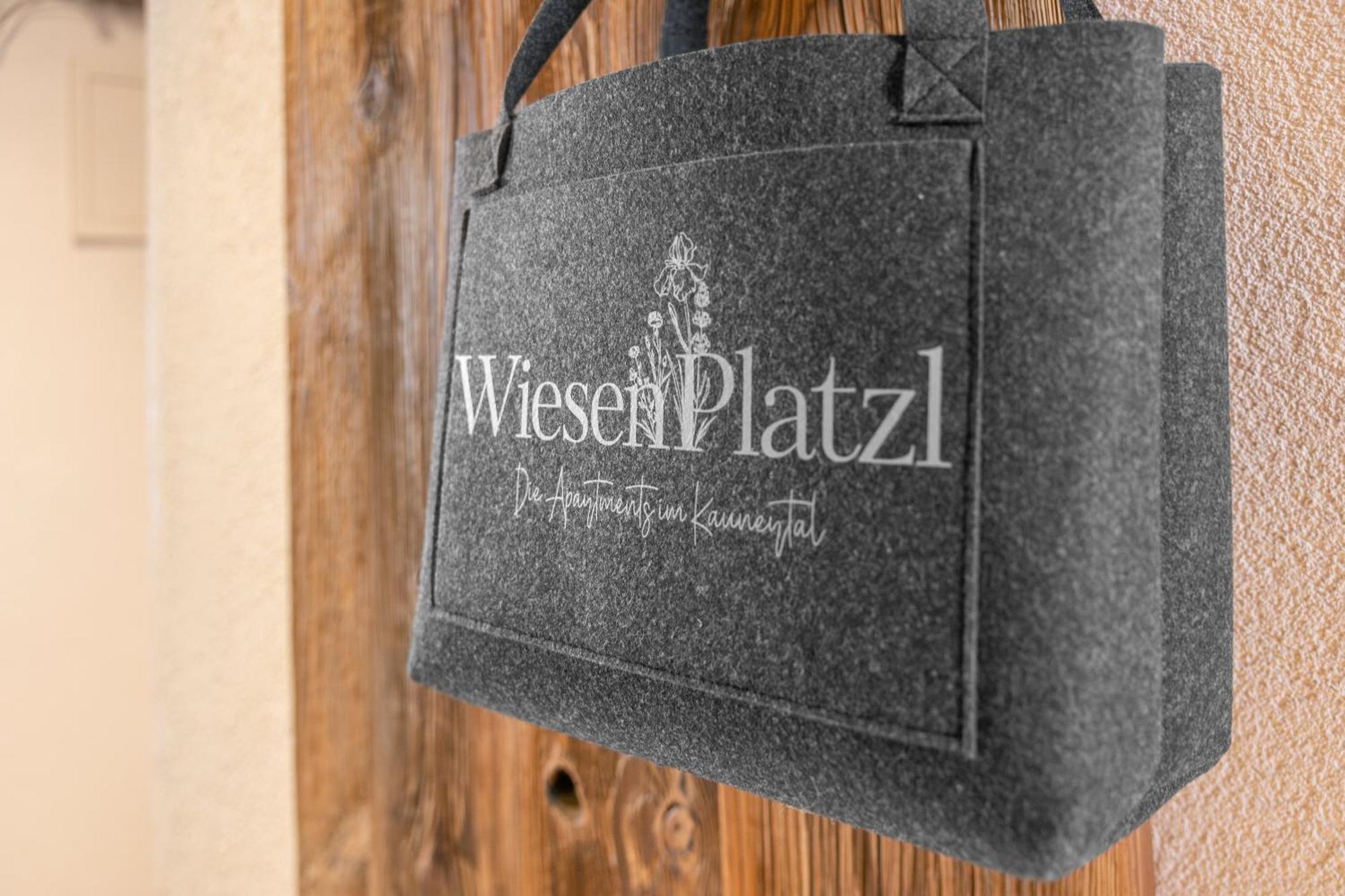 Apart Wiesenplatzl Kaunertal Exterior photo